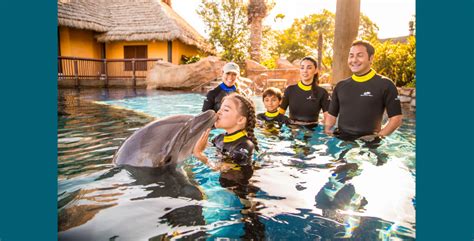 Get free admission at SeaWorld for the rest of 2023 with new deal